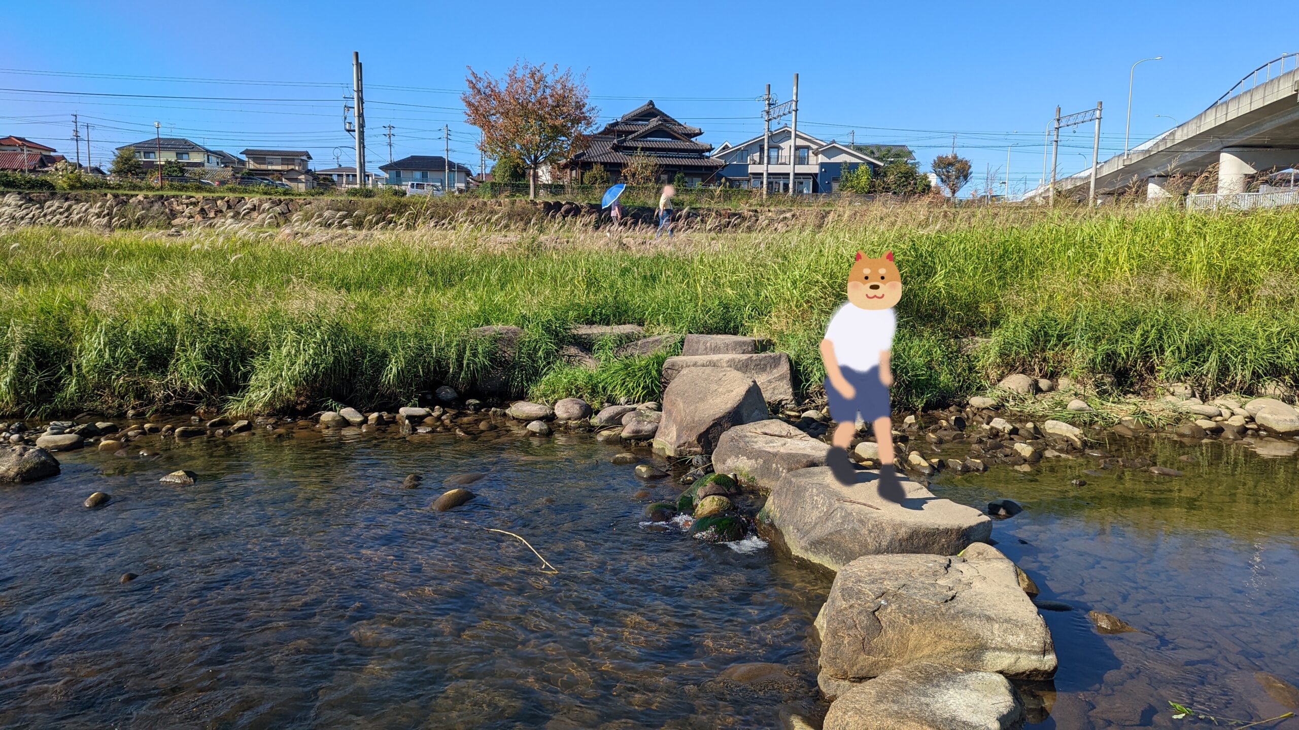 ふるさと川公園で自然と触れ合おう！